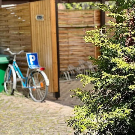 Traditionsgasthaus Goldener Loewe Restaurant &