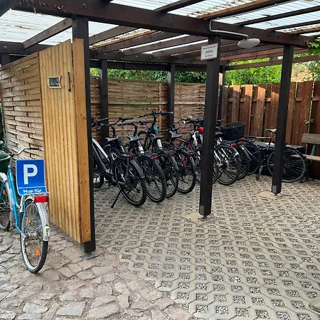 Гостевой дом Traditionsgasthaus Goldener Loewe Restaurant & *