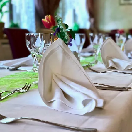 Guest house Traditionsgasthaus Goldener Loewe Restaurant &